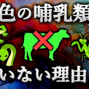 【ゆっくり解説】熱帯の生物はなぜカラフルなのか？