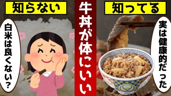 【ゆっくり解説】白米をそのまま食べるより｢牛丼｣にしたほうが体に良い！白米の健康的な食べ方とは