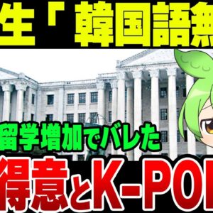 ずんだもんと見る海外留学生が韓国でなじめない理由【ゆっくり解説】
