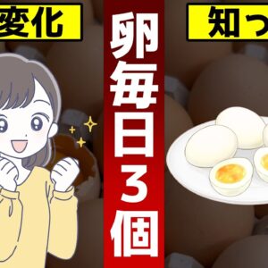 【ゆっくり解説】毎日卵を３個食べ続けると…体や頭、目に起こったヤバい変化とは