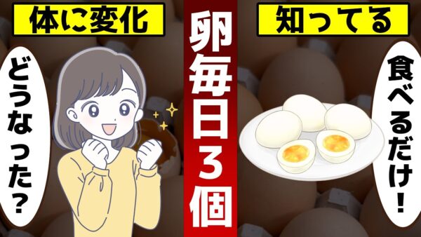【ゆっくり解説】毎日卵を３個食べ続けると…体や頭、目に起こったヤバい変化とは