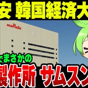 ずんだもんとみる村田製作所に価格競争で圧倒される韓国サムスン【ゆっくり解説】