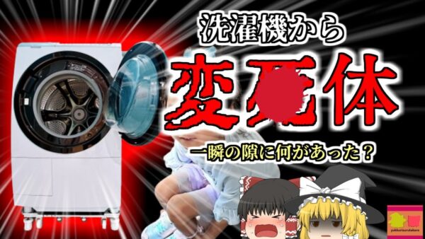 【2014年】洗濯機の中から女児の変〇体 たった数分目を離した間に何があった？ 家庭の中の意外な危険【ゆっくり解説】
