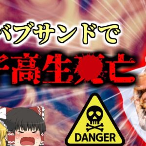 【2017年】ケバブサンドで女子高生が〇亡 原因はアレルギー疾患とソース…？のどが腫れてふさがり呼吸困難に【ゆっくり解説】