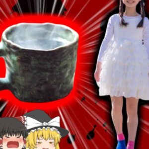 【2017年】女児「誰がチキンよ!やってやるわ!」→ 熱湯を一気に飲んで4亡 チャレンジ動画の真似をした女児が2度熱傷で亡くなる  従妹の煽りが原因？【ゆっくり解説】