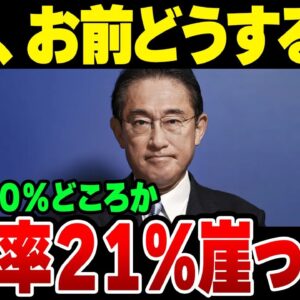 岸田政党支持率21％？！どうしてここまで落ちたのか【ゆっくり解説】