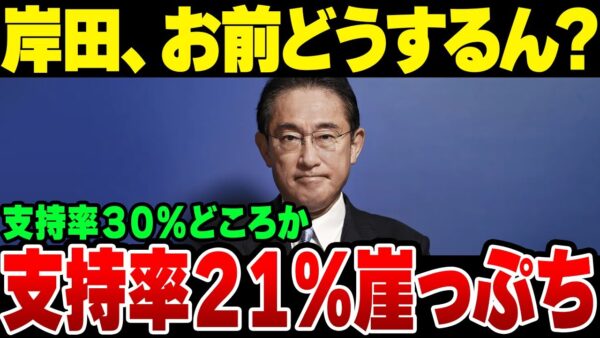 岸田政党支持率21％？！どうしてここまで落ちたのか【ゆっくり解説】