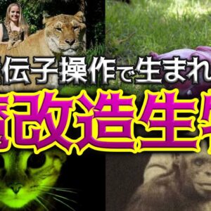 【遺伝子操作】人間の魔改造で生まれたヤバい生き物4選
