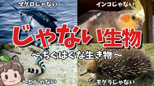 【意味不明】○○じゃない生物！名前と分類がちぐはぐな生き物8選 パート2