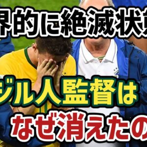 【ゆっくり解説】Jリーグでも絶滅状態…なぜブラジル人監督は消えたのか？【サッカー】
