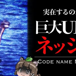 【都市伝説】巨大UMAネッシーは実在するのか？その正体はまさかの○○だった！？