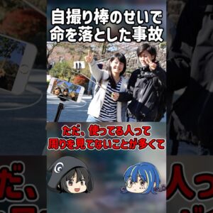 【１分解説】自撮り棒のせいで命を落とした事故【ゆっくり解説】#shorts