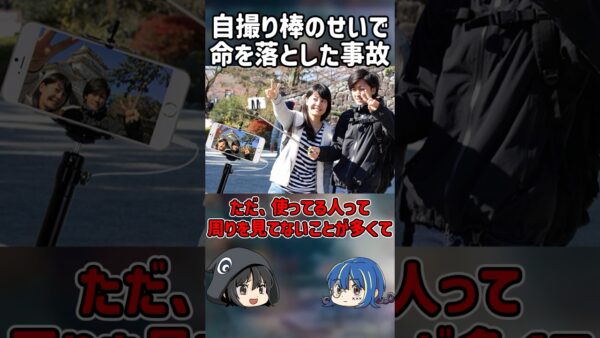 【１分解説】自撮り棒のせいで命を落とした事故【ゆっくり解説】#shorts