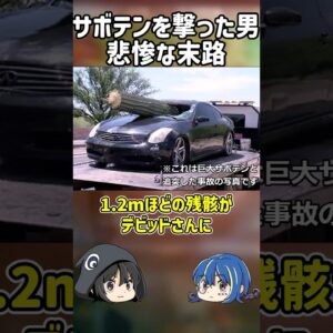 【１分解説】サボテンを撃った男の悲惨すぎる最期【ゆっくり解説】#shorts