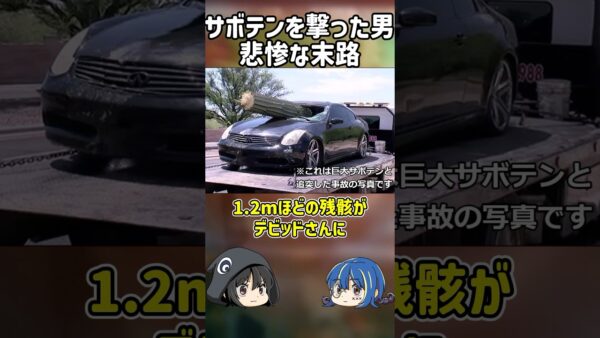 【１分解説】サボテンを撃った男の悲惨すぎる最期【ゆっくり解説】#shorts