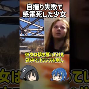 【１分解説】新品カメラで自撮りしようとした少女の悲惨な末路【ゆっくり解説】#shorts