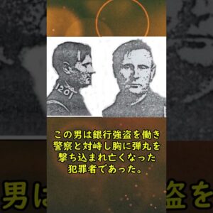 【実話】お化け屋敷のマネキンが本物のシ体だった話【エルマー・マッカーディ】 #ゆっくり解説 #ジャックのゆっくり解説室 #shorts
