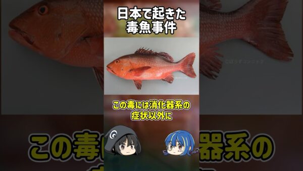 【１分解説】日本で起きた怖すぎる毒魚事件【ゆっくり解説】#shorts