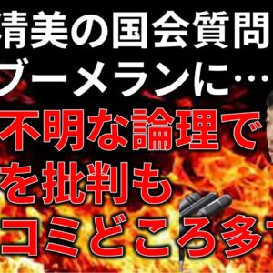 【ゆっくり解説】立憲民主党はやっぱり不必要