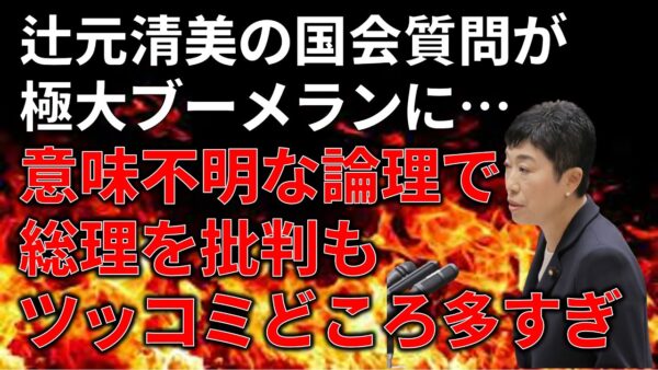 【ゆっくり解説】立憲民主党はやっぱり不必要