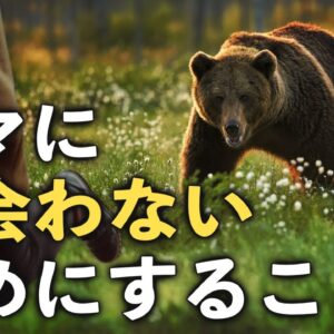 【保存版】クマに出会わないためにどうすれば良いのか ～理解・準備編～（前編）