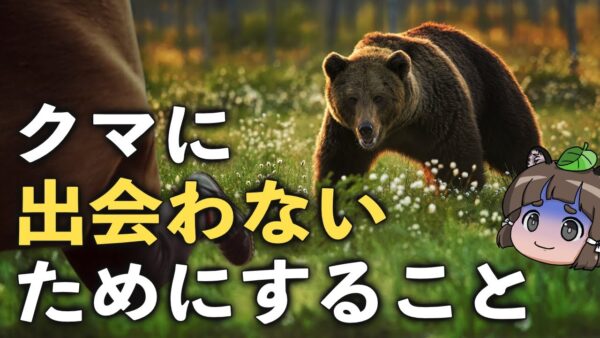 【保存版】クマに出会わないためにどうすれば良いのか ～理解・準備編～（前編）