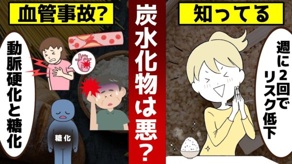 【ゆっくり解説】ごはん､パン､麵類大好き！毎日食べ続けると体はどうなる？血管事故とは