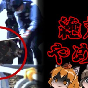 【警鐘】これ続けていたら大変なことになります｜警察によるイノシシ捕獲問題