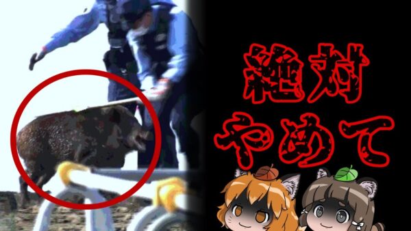 【警鐘】これ続けていたら大変なことになります｜警察によるイノシシ捕獲問題
