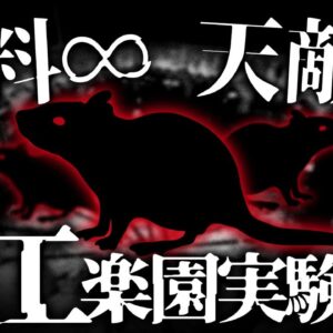 【食料∞×天敵0】楽園のネズミ社会が迎える動物実験の末路とは…【Universe25】