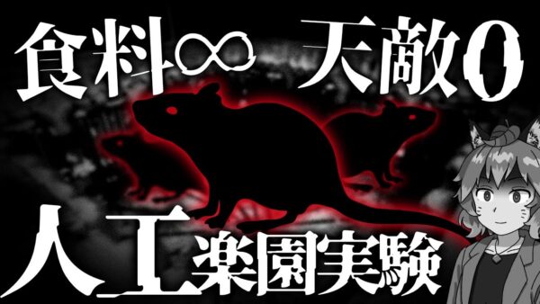 【食料∞×天敵0】楽園のネズミ社会が迎える動物実験の末路とは…【Universe25】