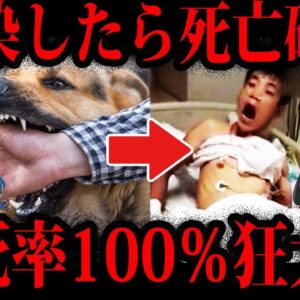 【ゆっくり解説】致死率100％。感染したら助からない狂犬病