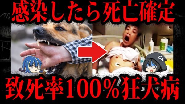 【ゆっくり解説】致死率100％。感染したら助からない狂犬病