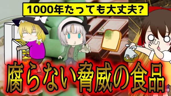 決して腐らない！？実は賞味期限のない食べ物17選【ゆっくり解説】