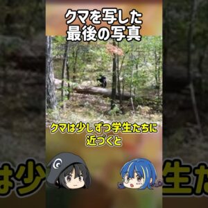 【１分解説】熊を撮影した死の直前の写真を1分解説【ゆっくり解説】#shorts