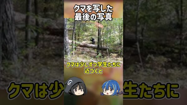 【１分解説】熊を撮影した死の直前の写真を1分解説【ゆっくり解説】#shorts
