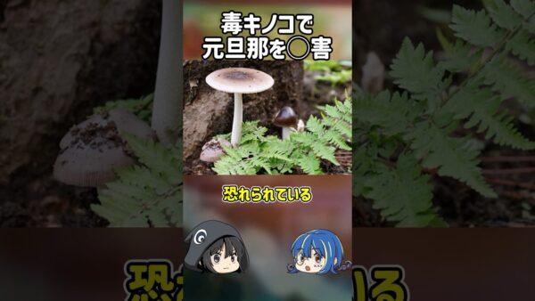 【１分解説】毒キノコを元旦那を○害した事件を1分解説【ゆっくり解説】#shorts