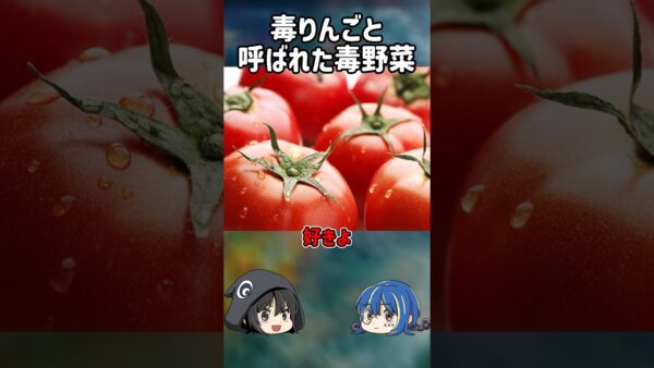 【１分解説】毒りんごと呼ばれた野菜を1分解説【ゆっくり解説】#shorts