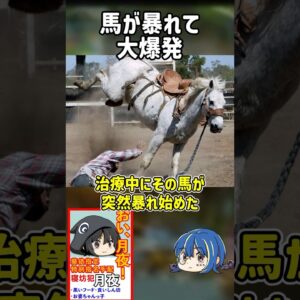 【１分解説】馬が引き起こした爆発事故を1分解説【ゆっくり解説】#shorts