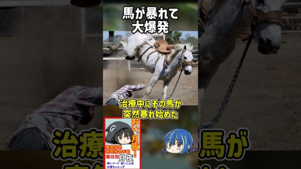 【１分解説】馬が引き起こした爆発事故を1分解説【ゆっくり解説】#shorts
