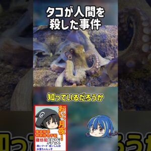 【１分解説】タコが人間を○した事件を1分解説【ゆっくり解説】#shorts