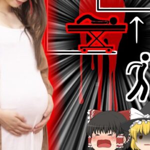 【2017年】出産直後に胴体が真っ二つになった母…大病院の杜撰なエレベーター管理によって起きた悲劇 『エレベーター産婦挟まれ事故』【ゆっくり解説】