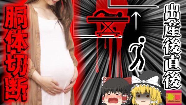 【2017年】出産直後に胴体が真っ二つになった母…大病院の杜撰なエレベーター管理によって起きた悲劇 『エレベーター産婦挟まれ事故』【ゆっくり解説】