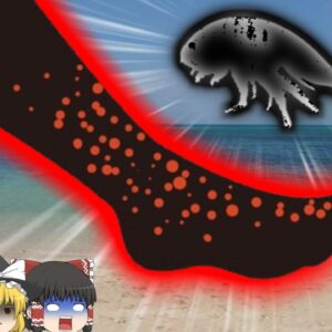 【2017年】海水に浸した両足が穴だらけに…原因は小さな海洋生物？特定が難しい甲殻類の性質【ゆっくり解説】