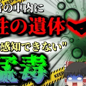 【2022年】自宅前に停めた車に亡くなった女性 彼女は停電の夜に何をしていた？ 