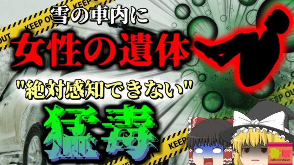 【2022年】自宅前に停めた車に亡くなった女性 彼女は停電の夜に何をしていた？ 