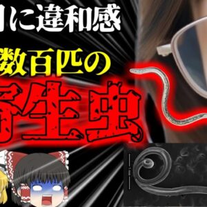 【2023年】目がかゆいと思ったら、眼球が数百匹の寄生虫だらけに…犬猫の涙とハエからうつる『東洋眼虫感染症』【ゆっくり解説】
