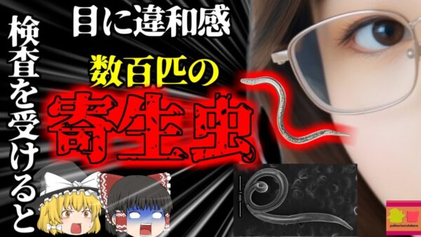 【2023年】目がかゆいと思ったら、眼球が数百匹の寄生虫だらけに…犬猫の涙とハエからうつる『東洋眼虫感染症』【ゆっくり解説】