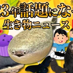 【2023年総集編】これ1本で振り返り！今年話題になった生き物ニュースまとめ