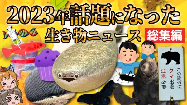 【2023年総集編】これ1本で振り返り！今年話題になった生き物ニュースまとめ